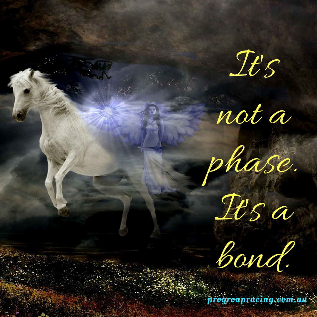 its a bond horse racing memes