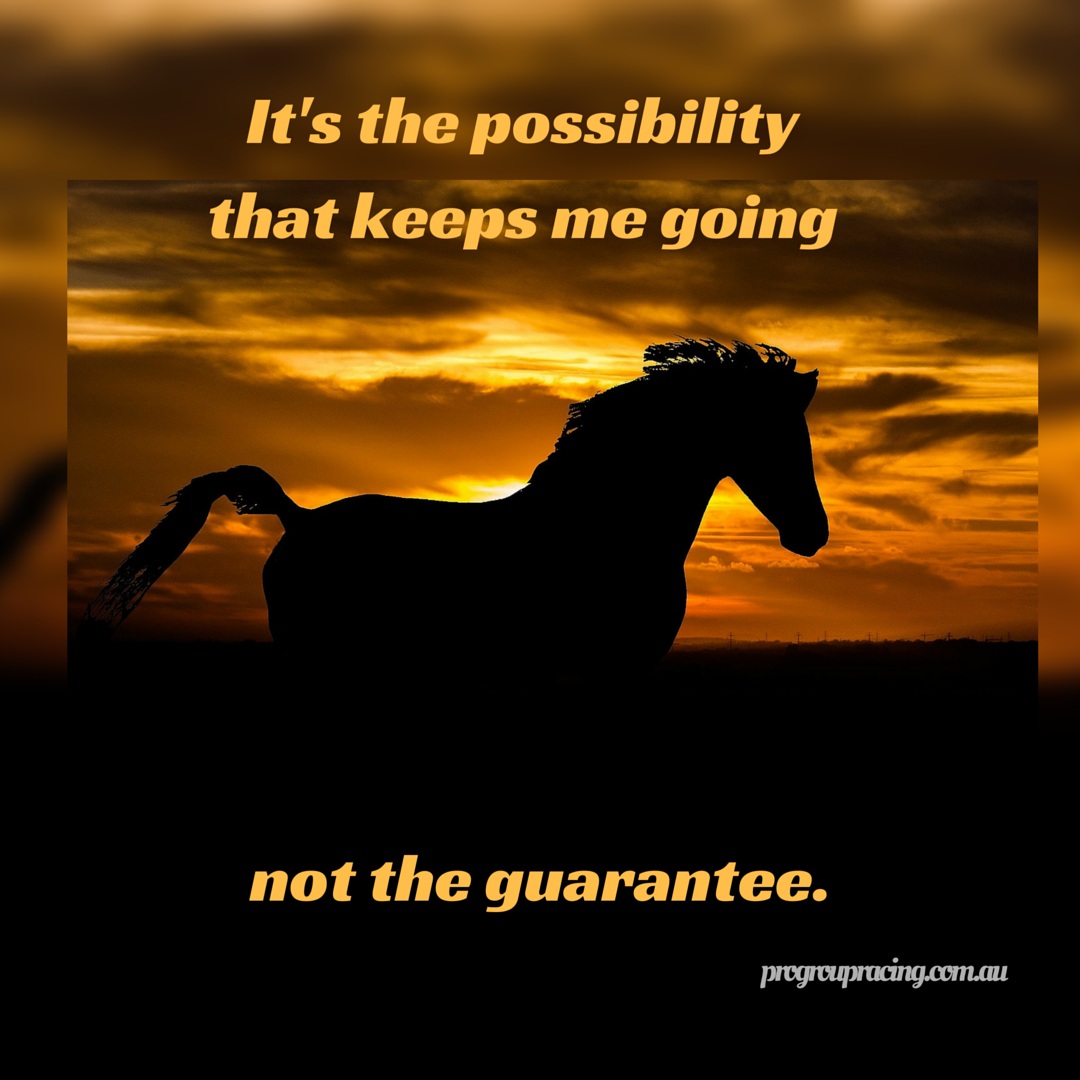 its the possibility horse racing memes