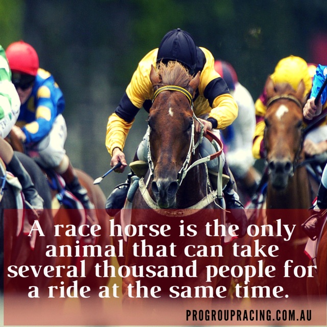 for a ride horse racing memes
