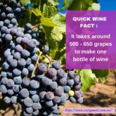 quick fact wine memes