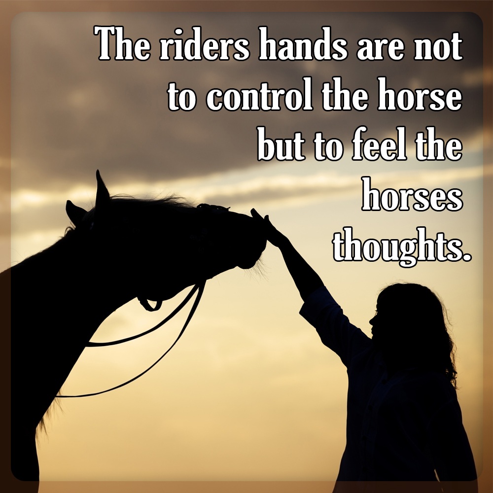 riders-hands-horse-racing-meme