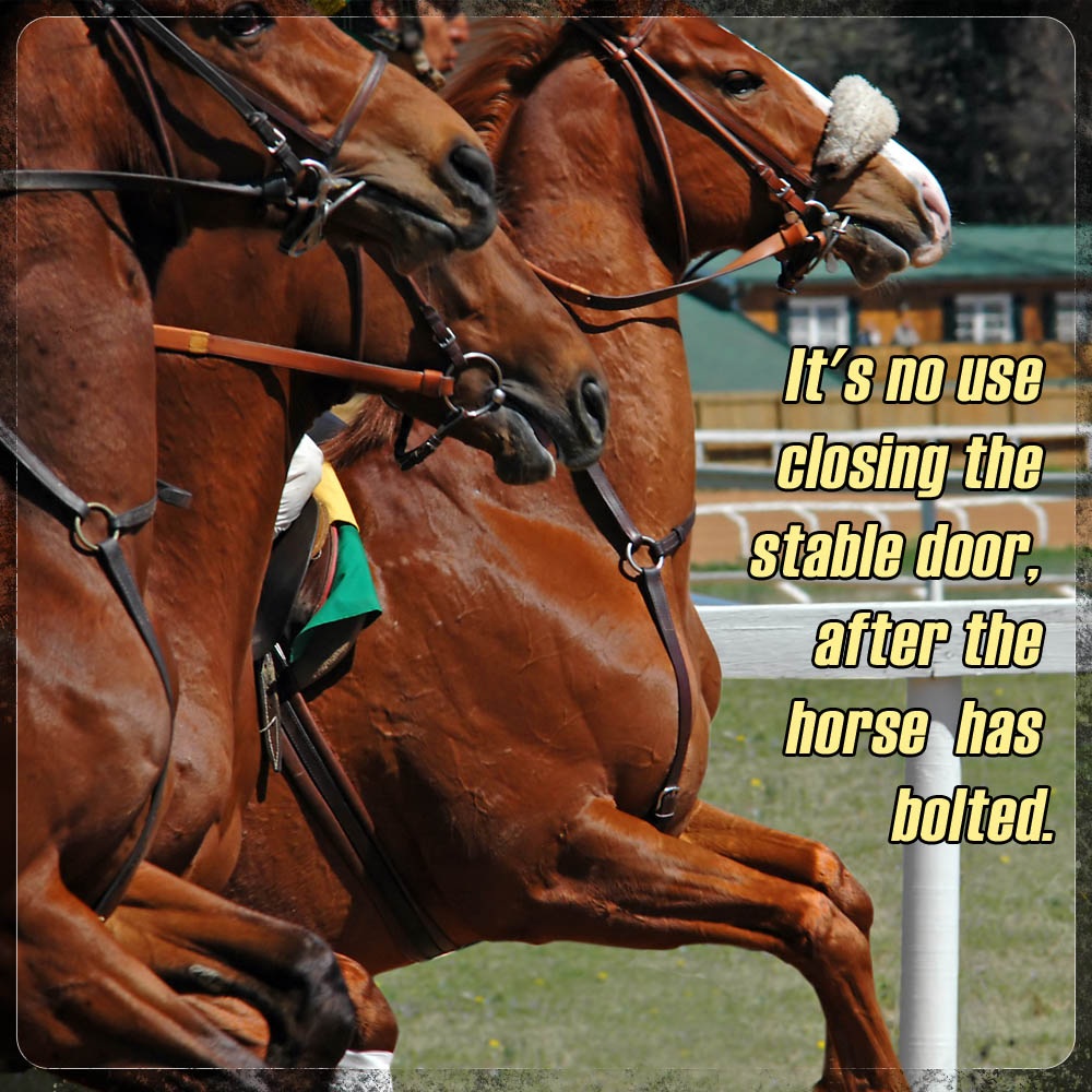 stable-door-horse-racing-meme