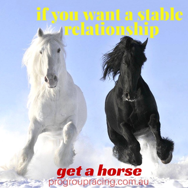 stable-relationship-horse-racing-meme