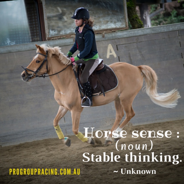 stable-thinking-horse-racing-meme