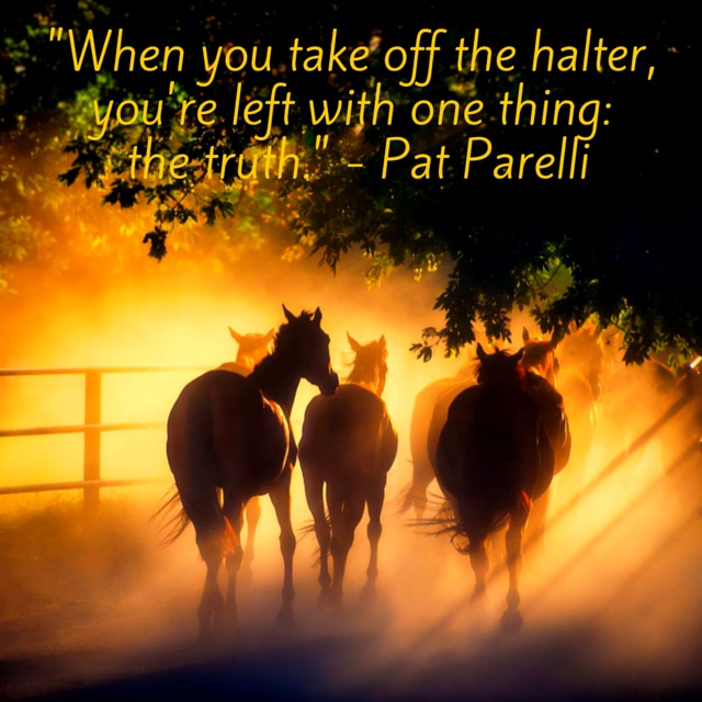 the-truth-horse-racing-meme