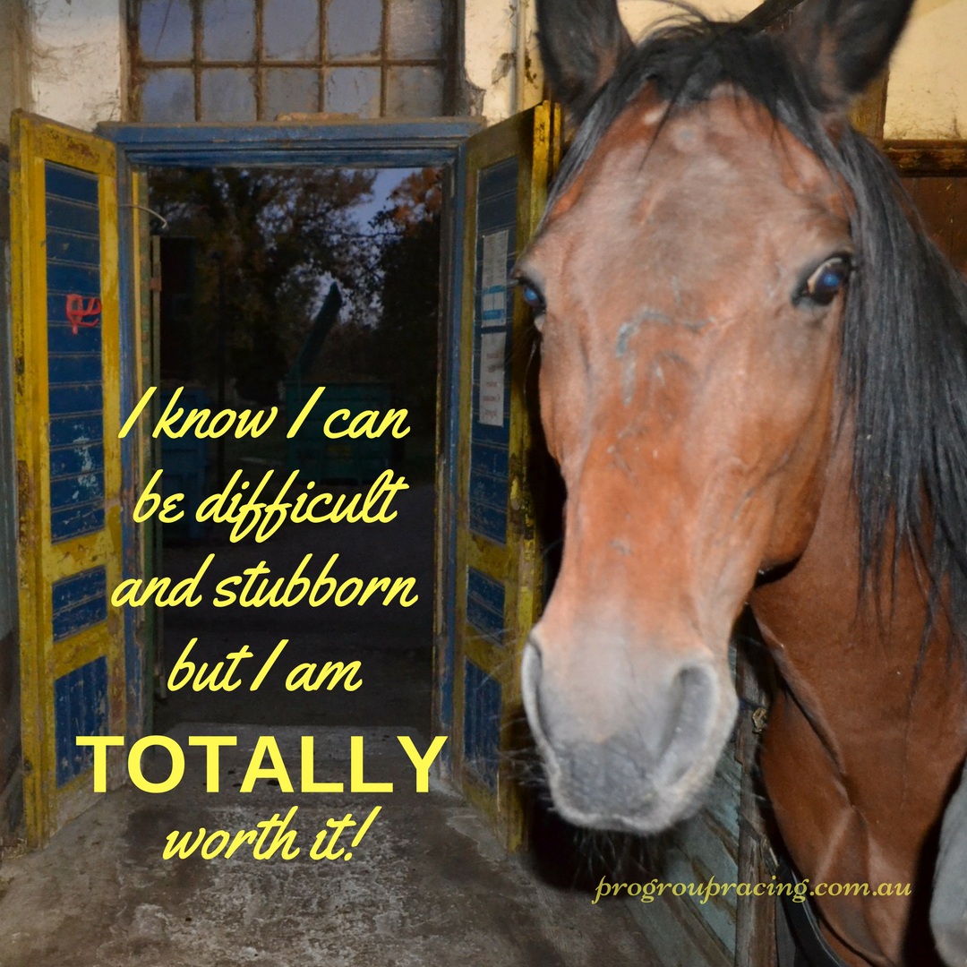 totally-worth-it-horse-racing-memes