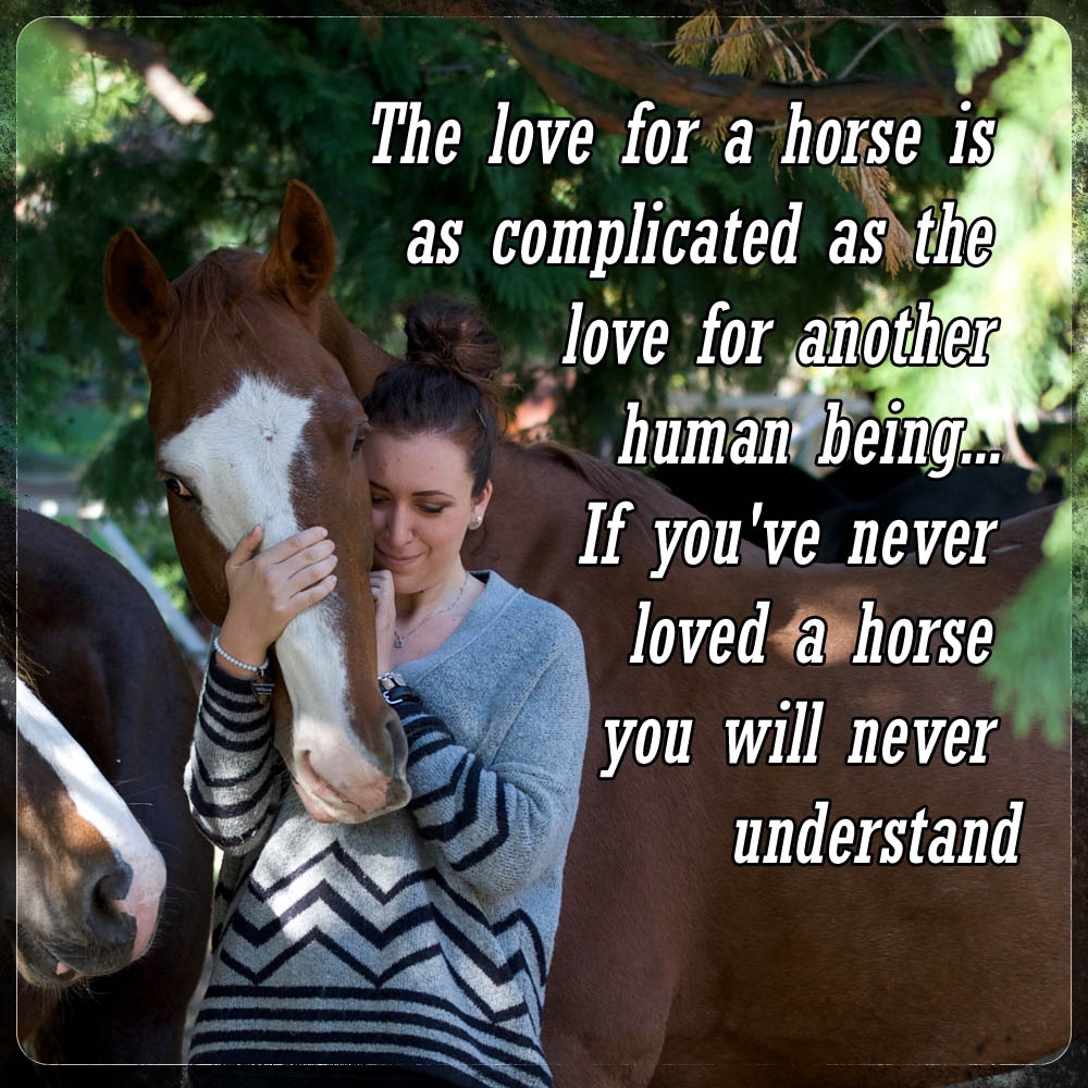 will-never-understand-horse-racing-memes
